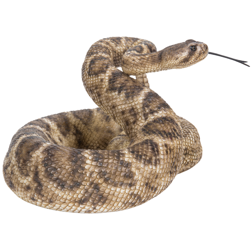 ダイヤモンドバッグ ガラガラヘビ | 業者様向け・WooBia仕入れサイト